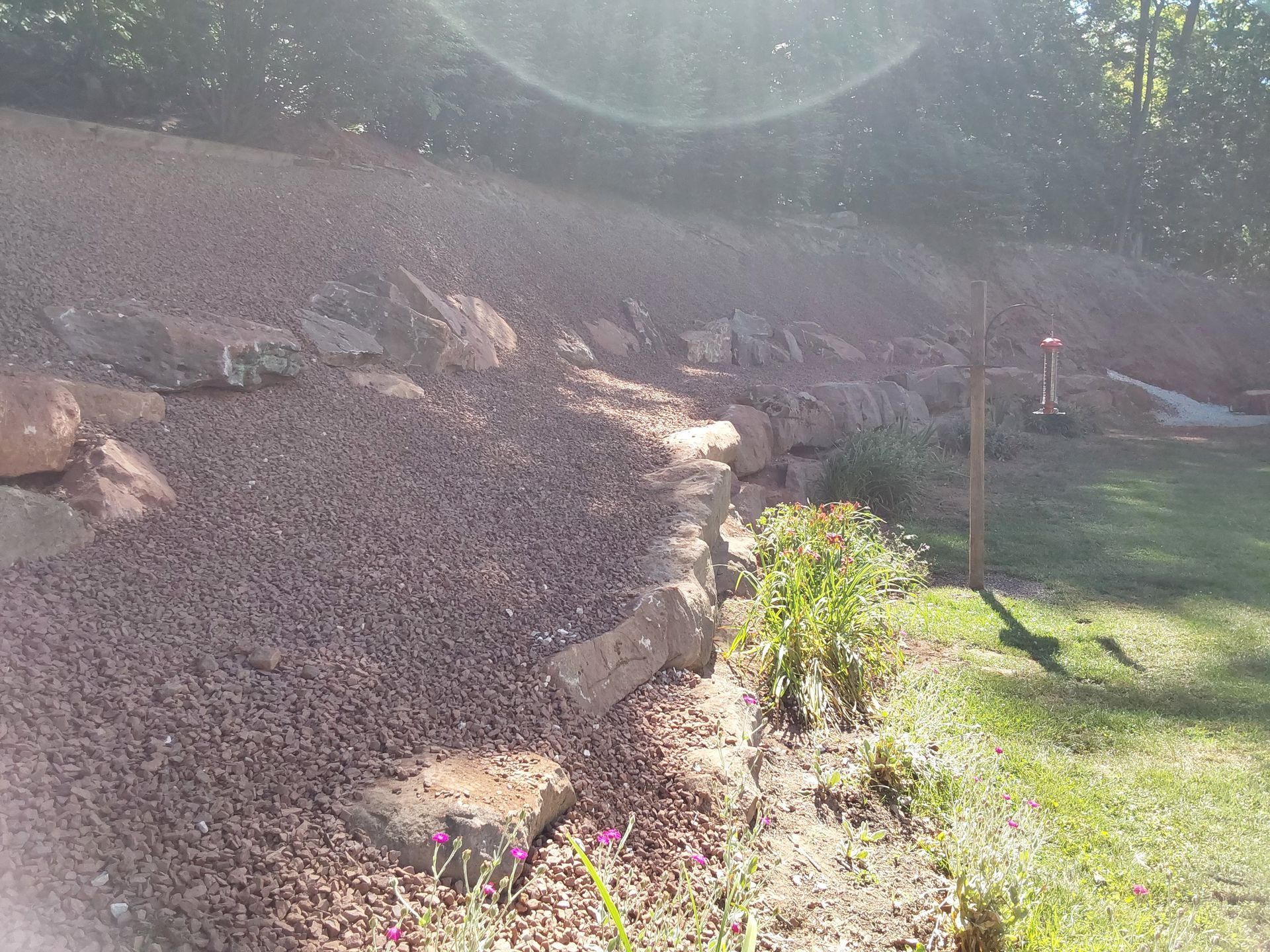 the sun is shining through the trees on a rocky hillside