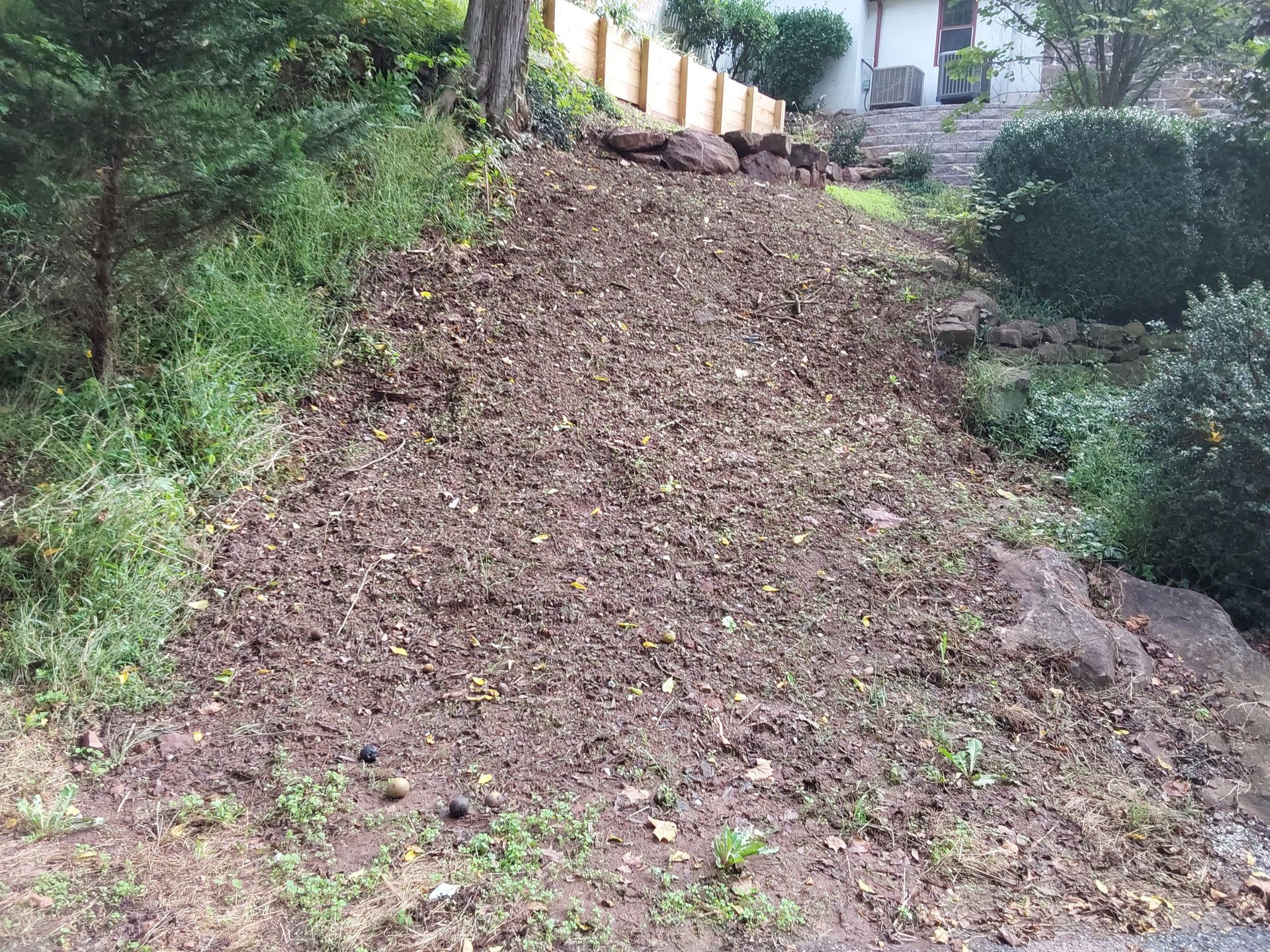 a dirt road leading to a house with a lot of leaves on the ground