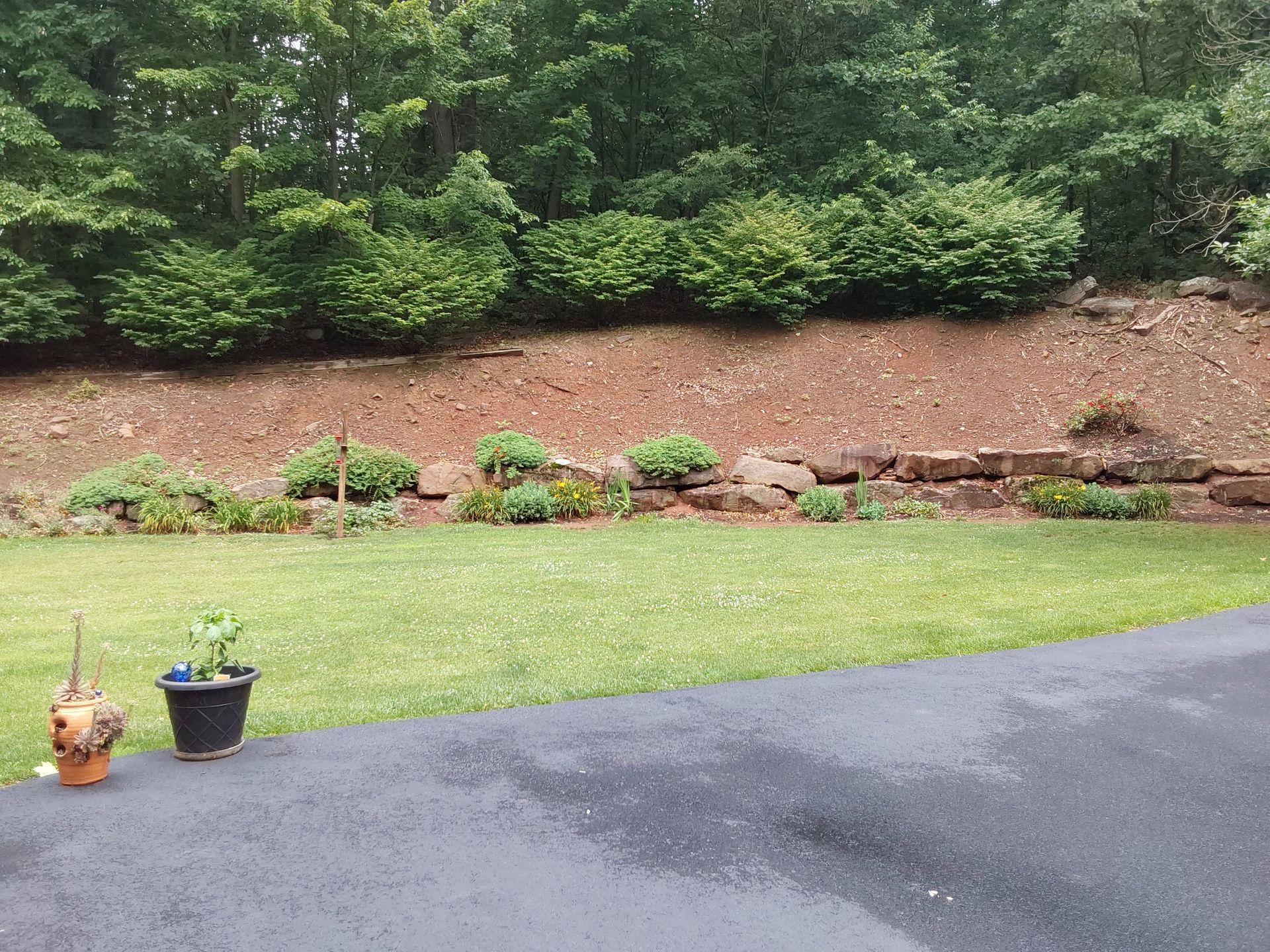 a driveway leading to a lush green yard with trees in the background