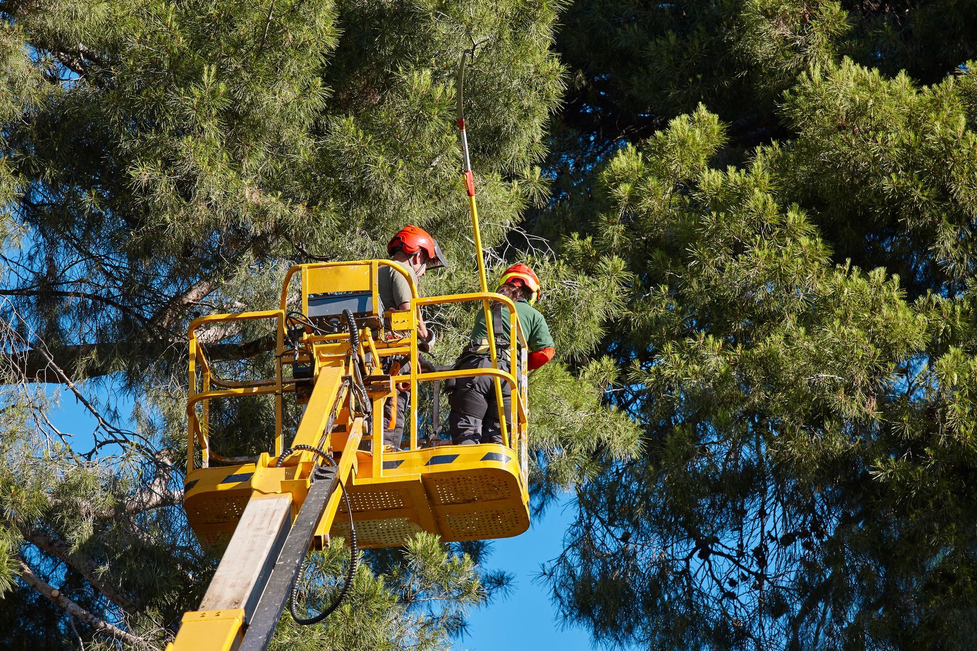Nostokorikaato Jyväskylässä