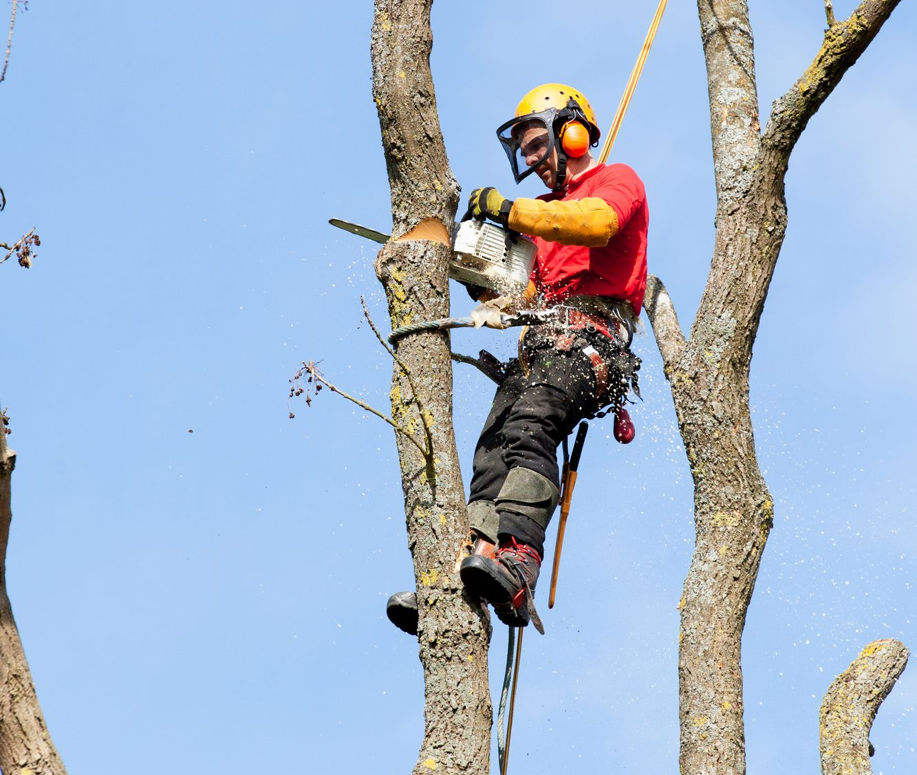 kiipeilykaato Jyväskylässä