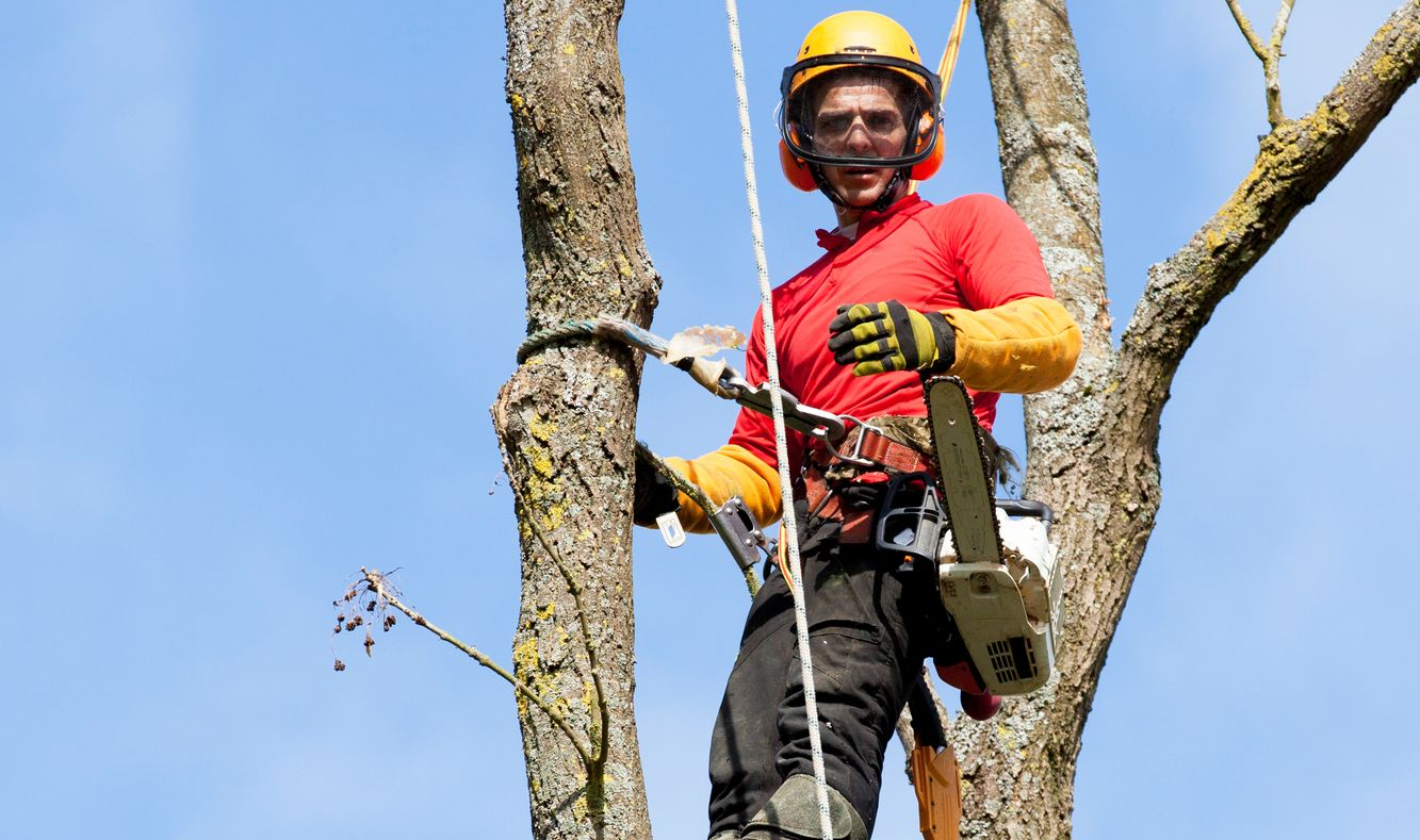 kiipeilykaato Jyväskylässä