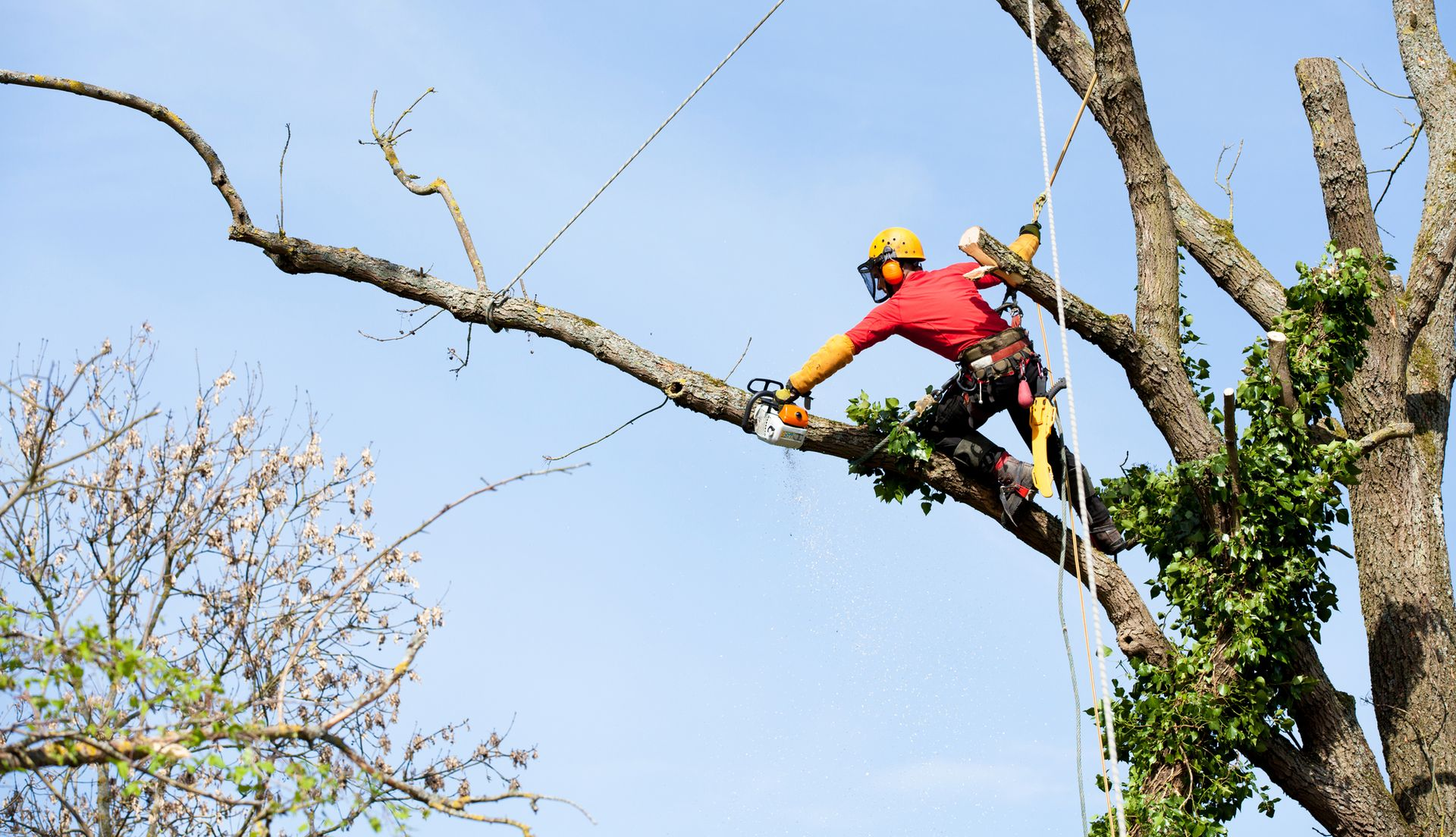 kiipeilykaato Jyväskylässä