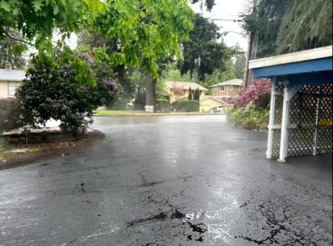 Rain-covered asphalt driveway in residential area, with trees and homes in the background. Blue carport on the right.