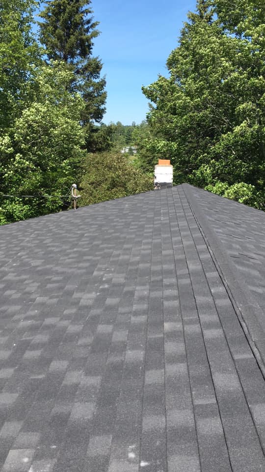 A roof with a chimney on top of it surrounded by trees.
