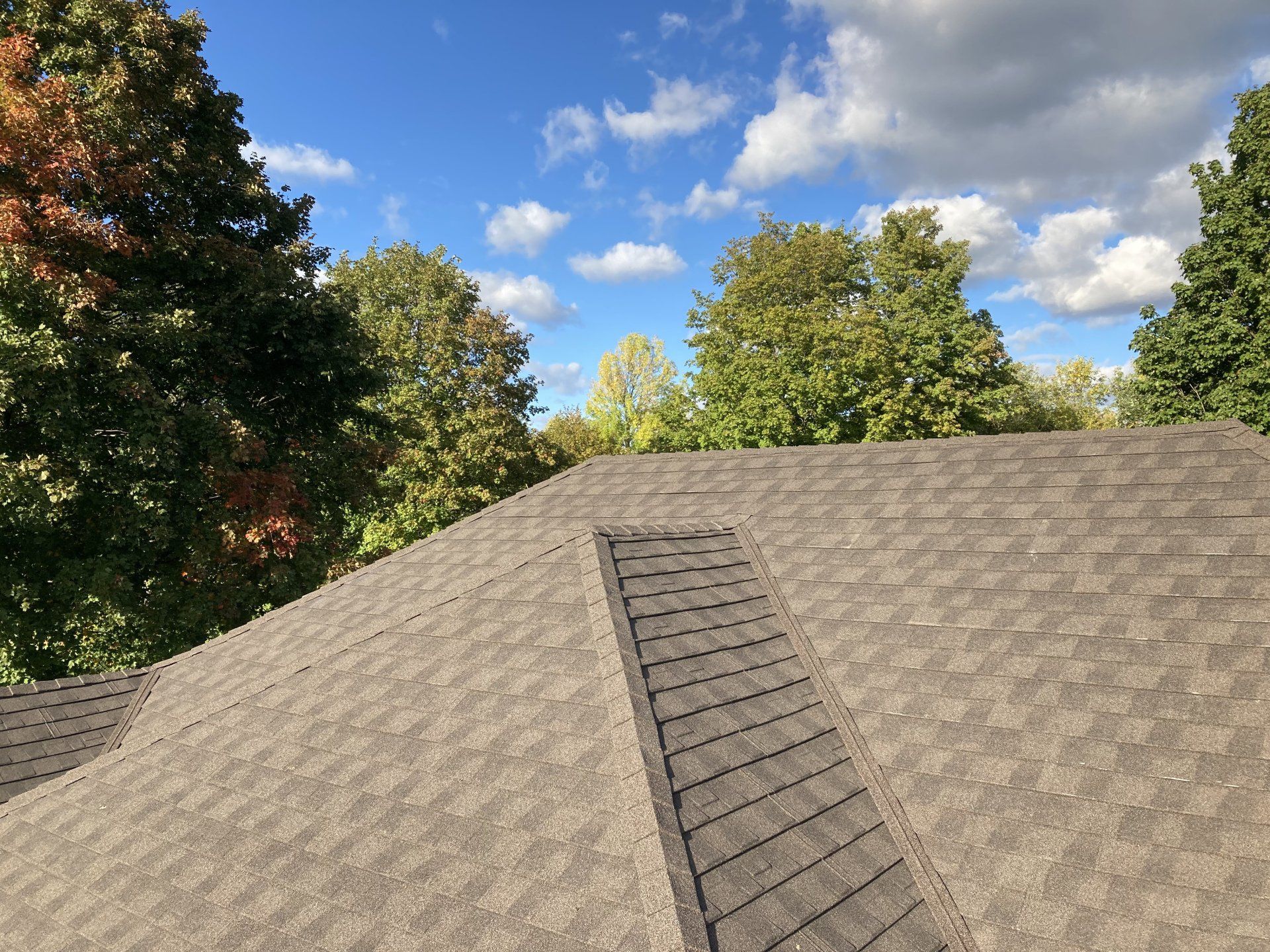 A roof with a blue sky and trees in the background