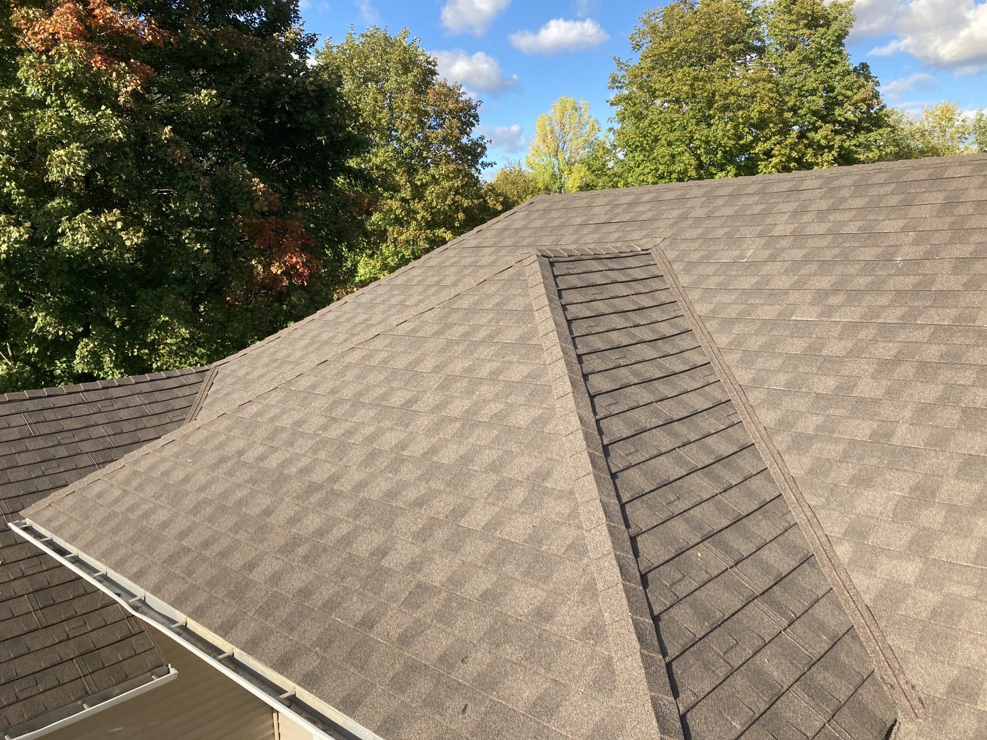 A close up of a roof with trees in the background.