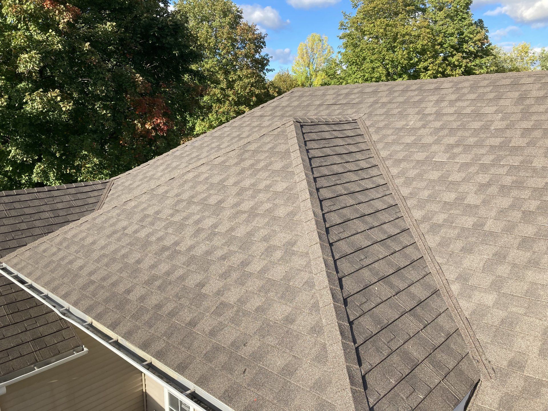 A close up of a roof with a vaulted roof and trees in the background.