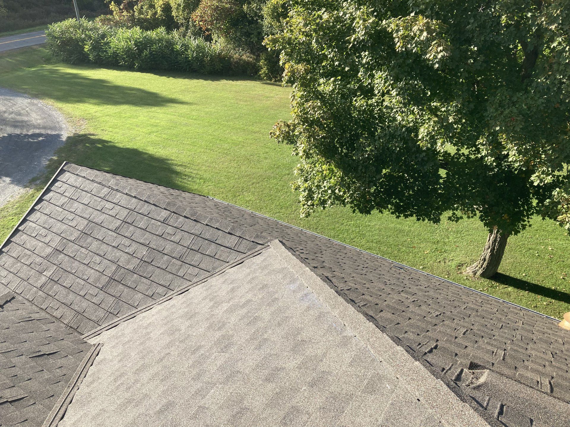 A roof with a lot of shingles and a tree in the background.