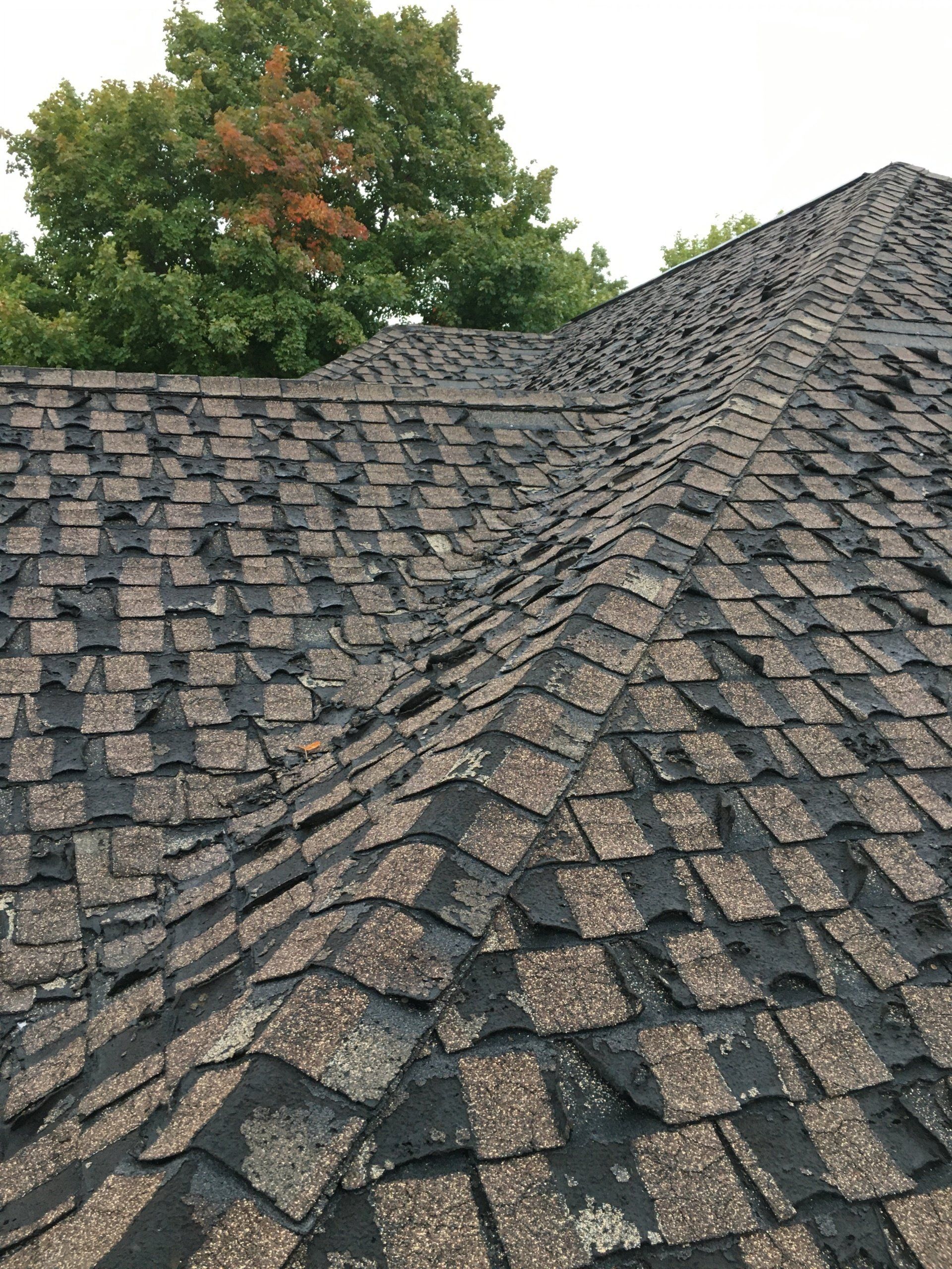 A close up of a roof with a tree in the background.