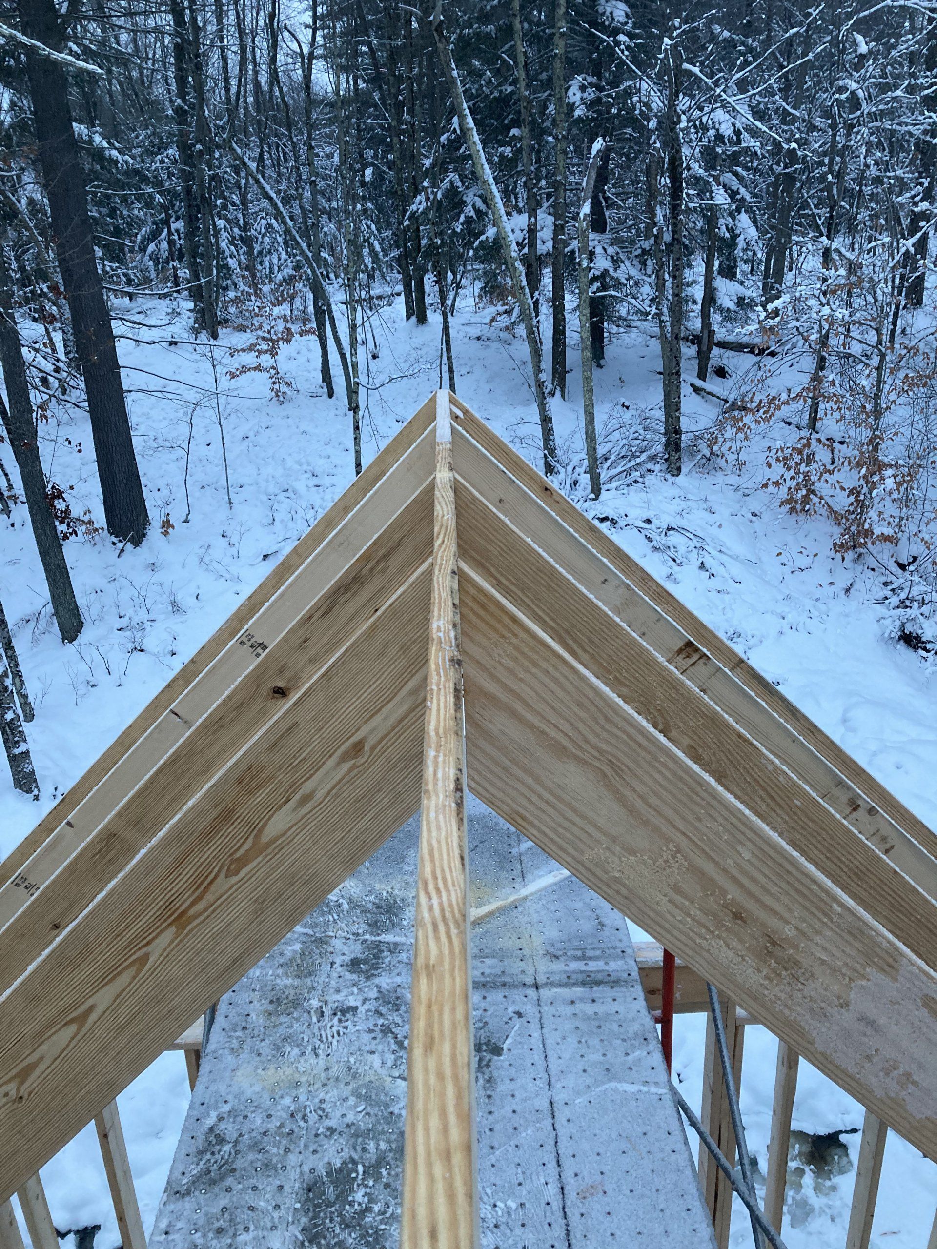 A wooden roof with a snowy forest in the background