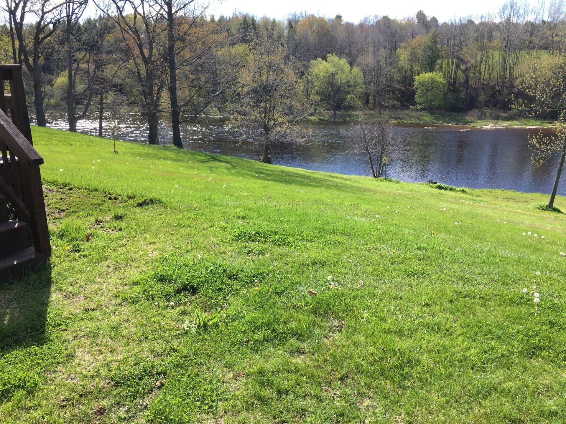 A lush green field next to a lake with trees in the background.
