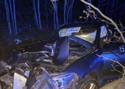 A blue car has crashed into a tree in the woods.