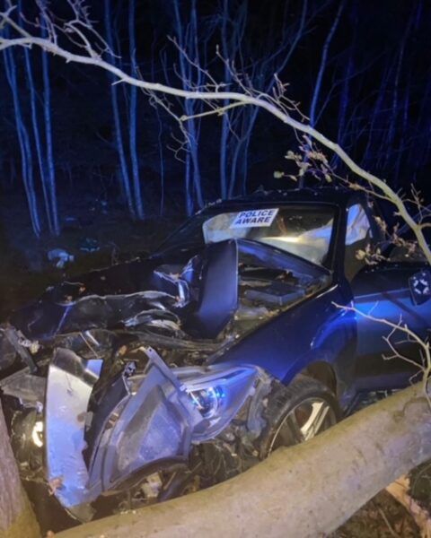 A blue car that has crashed into a tree