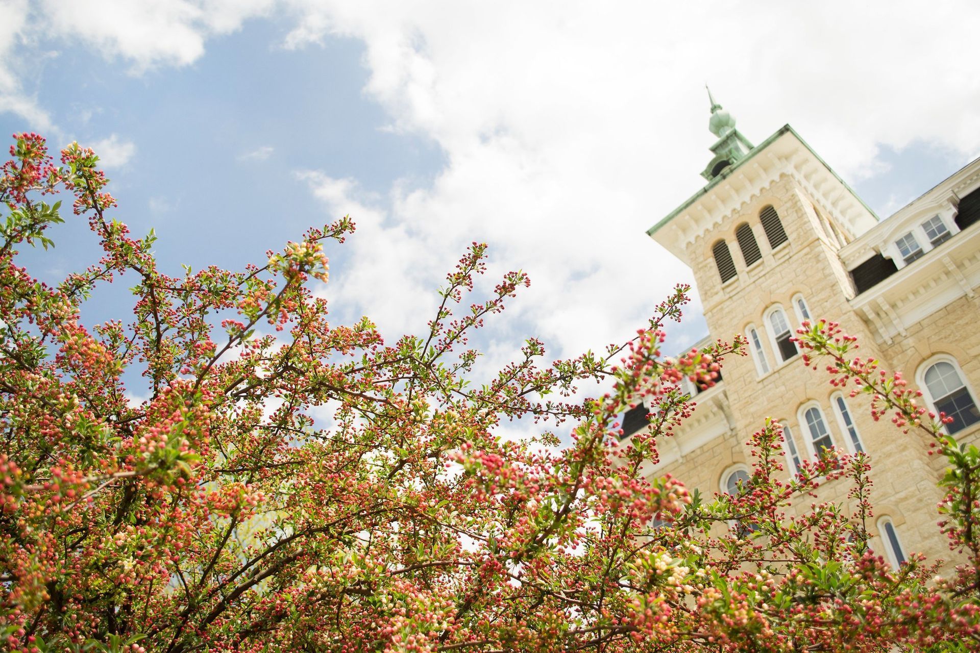 A building with a tower and flowers in front of it