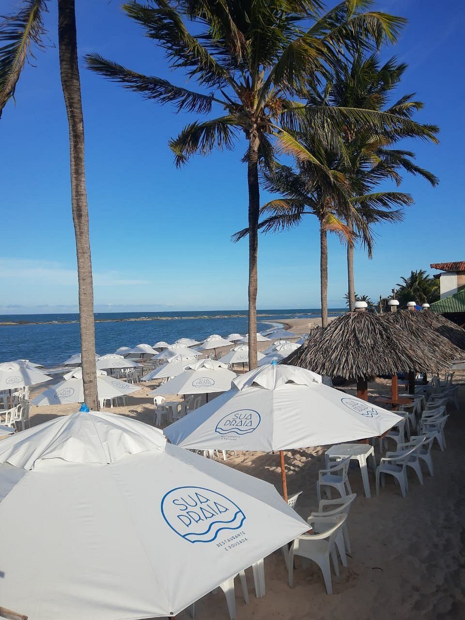 Uma praia com guarda-sóis e cadeiras brancas e palmeiras
