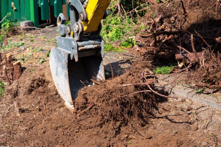 An image of Stump Grinding in Arlington TN