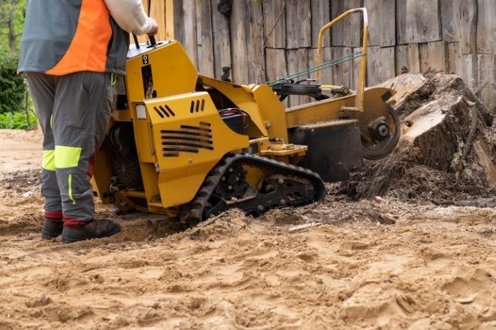 An image of Stump Grinding
Services in Arlington TN