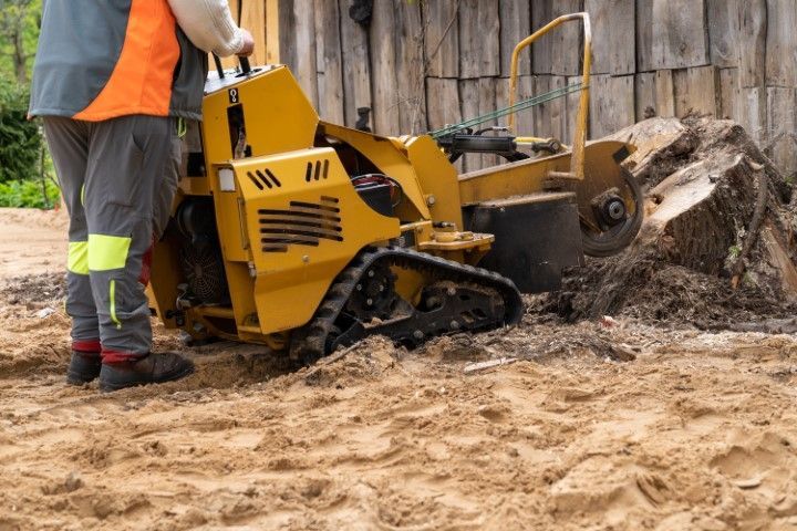 An image of Stump Grinding
Services in Bartlett TN