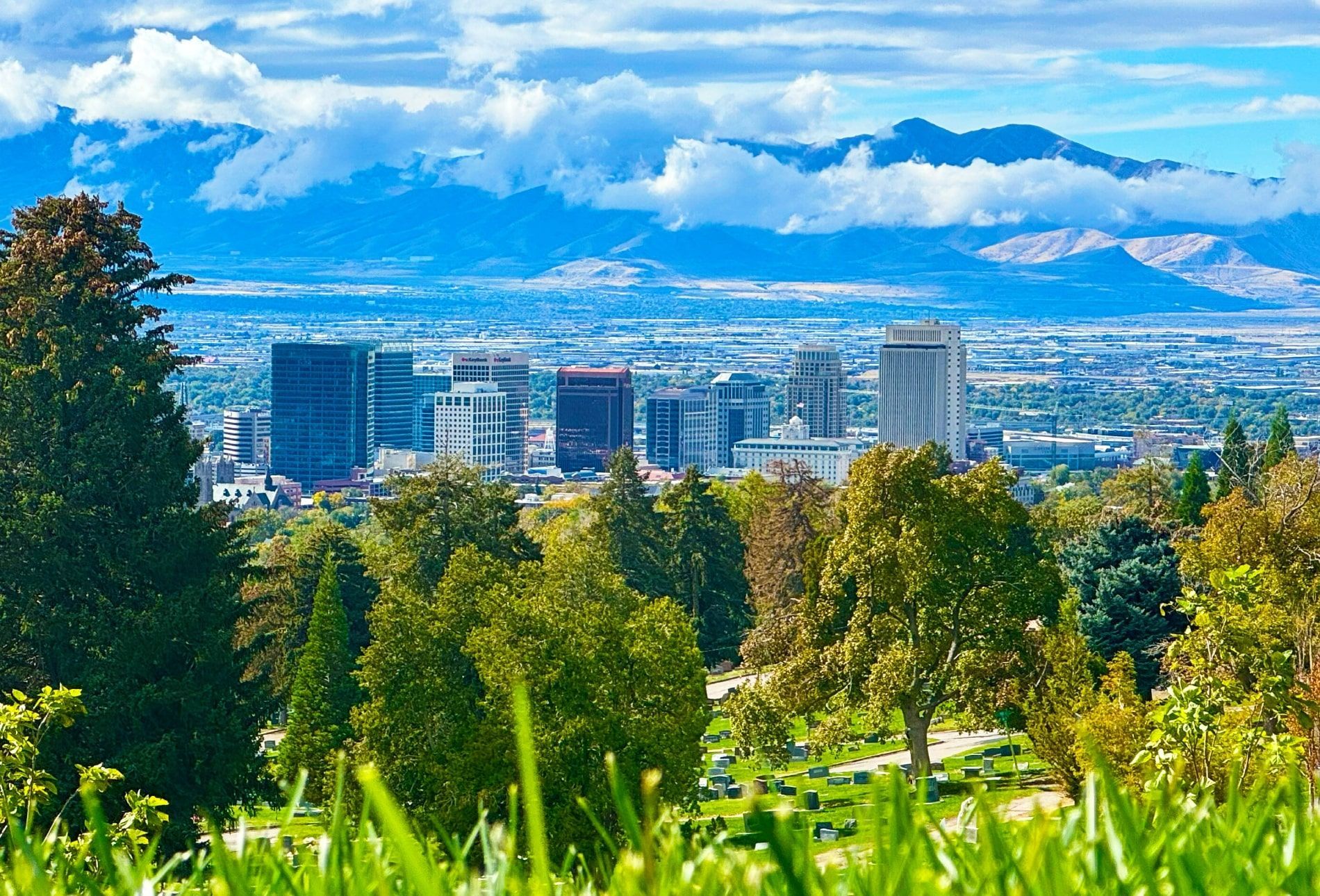 City skyline viewed from a hillside park, with green trees, blue sky, and mountains in the background.