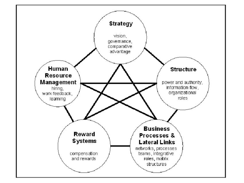 The Star Model by Galbraith 2002