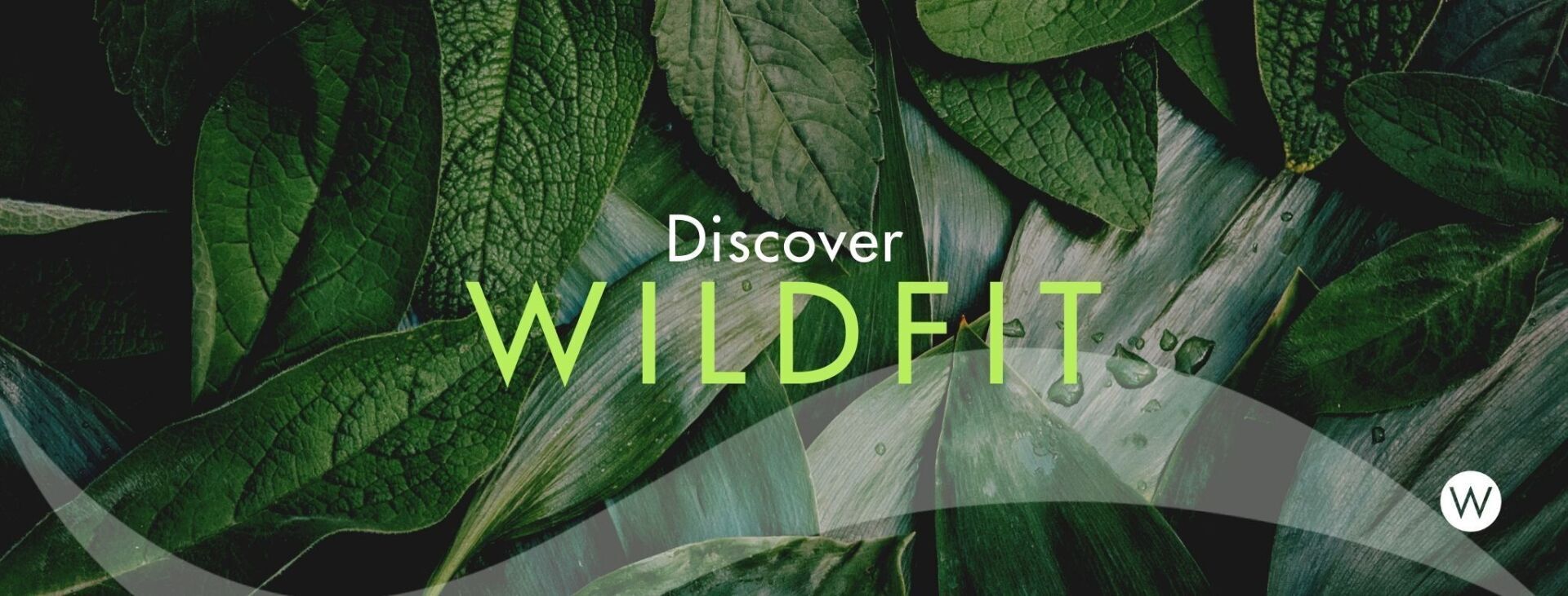 Try WildFit. Reset your relationship with food.