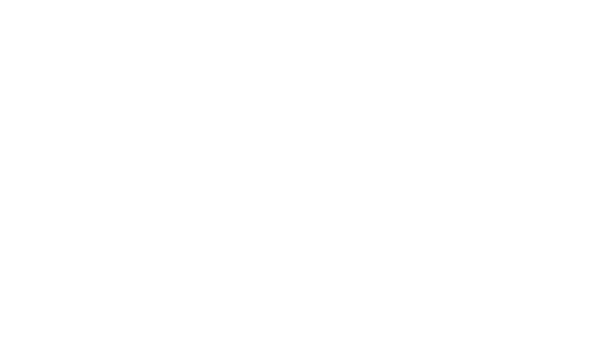 Flying Successes Logo