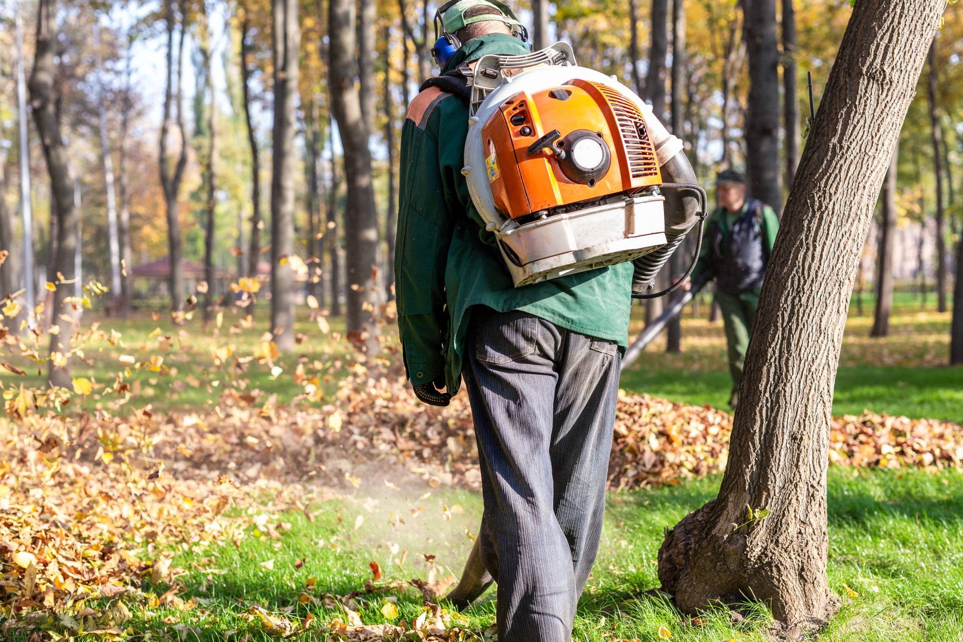 Sanificazione ambientale