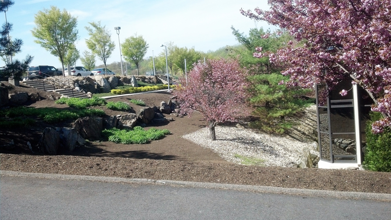 Commercial Park- Landscaping in Bedford Hills NY