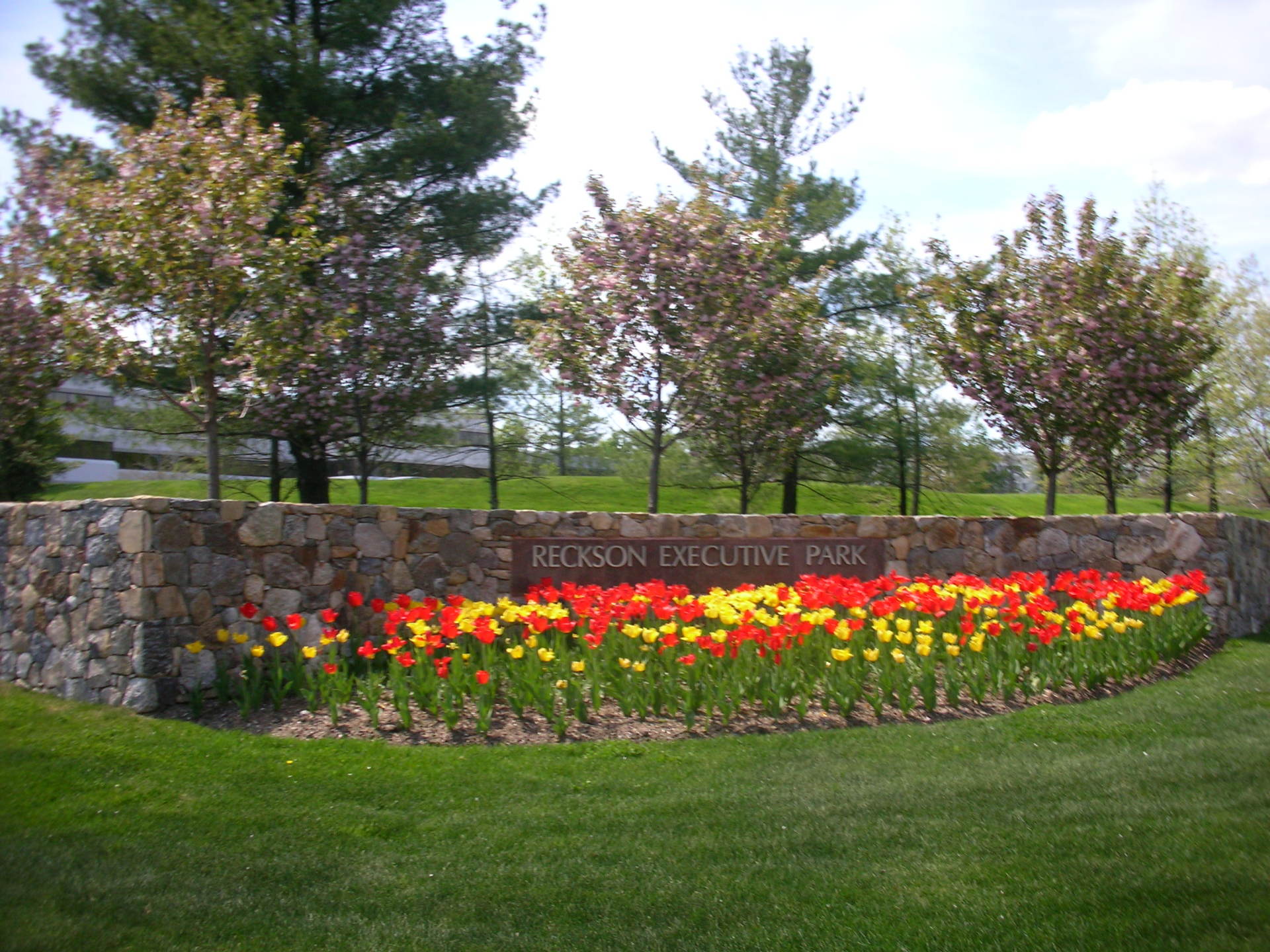 Executive Park - Landscaping in Bedford Hills, NY