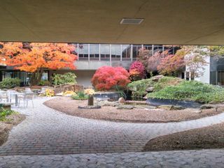 Courtyard of Business Building - Landscaping in Bedford Hill, NY