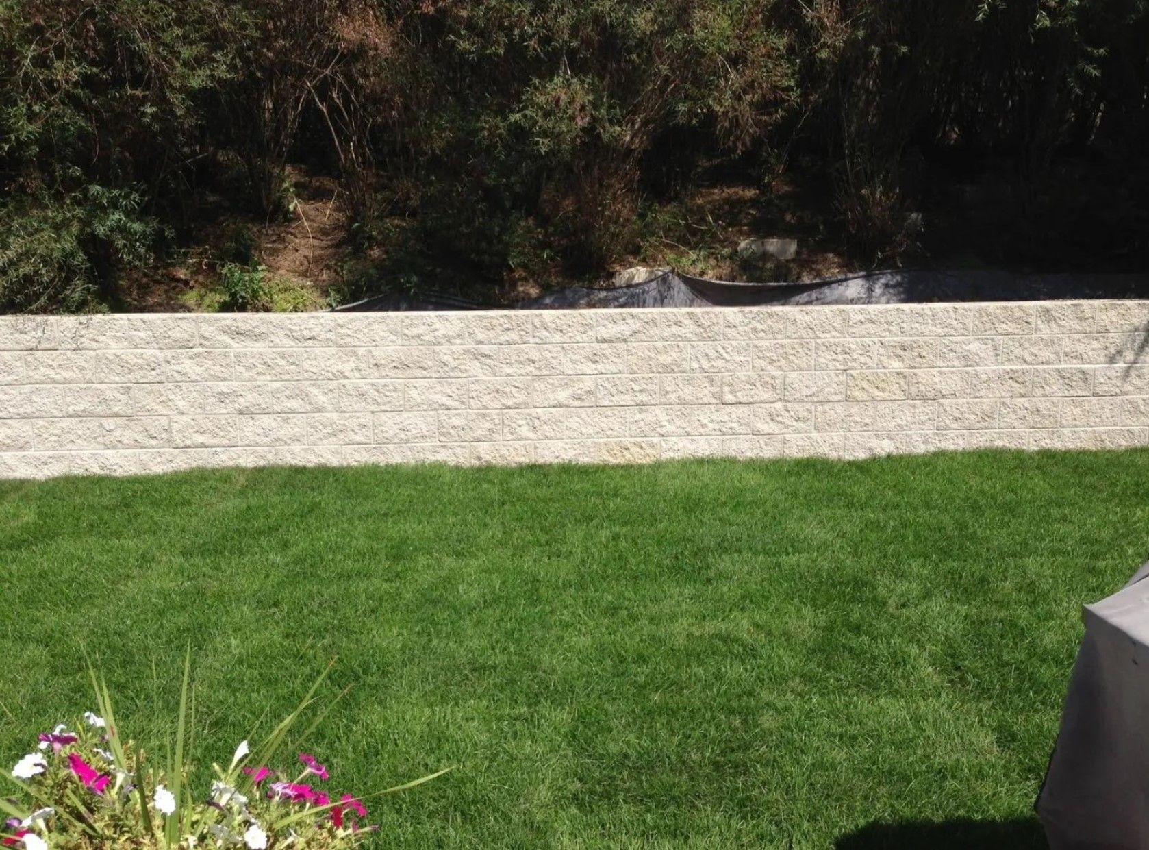A stone retaining wall sits behind a patch of green grass, with a decorative flower pot in the lower left foreground.