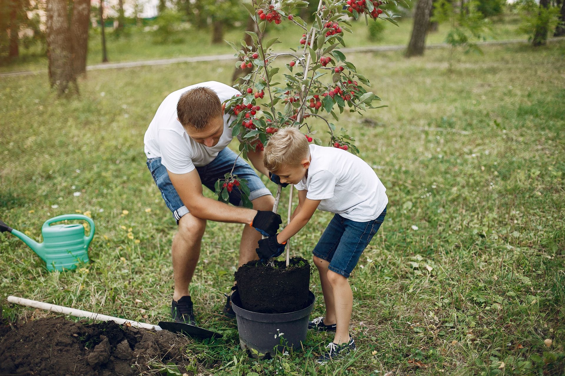 Man and boy planting a tree in a park. They are wearing white shirts and shorts.