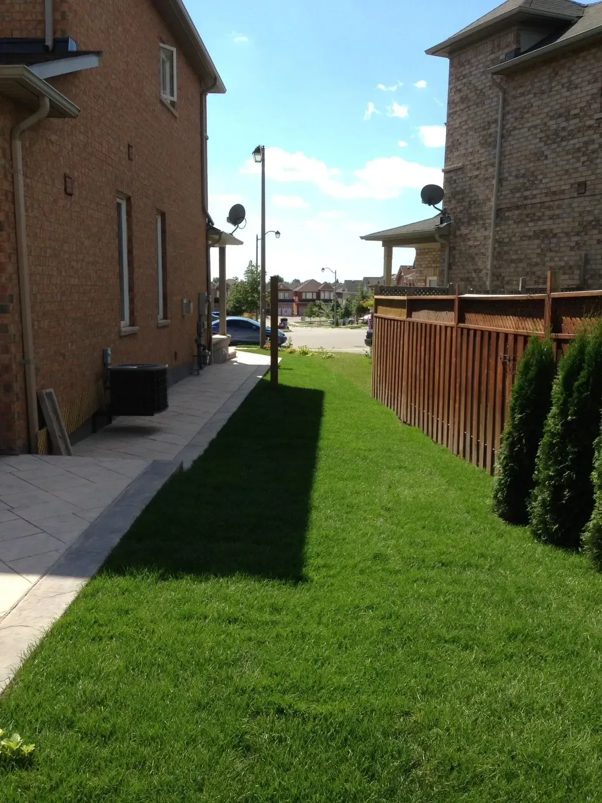 Side yard between two brick houses, with a patch of green grass, pathway, and wooden fence.