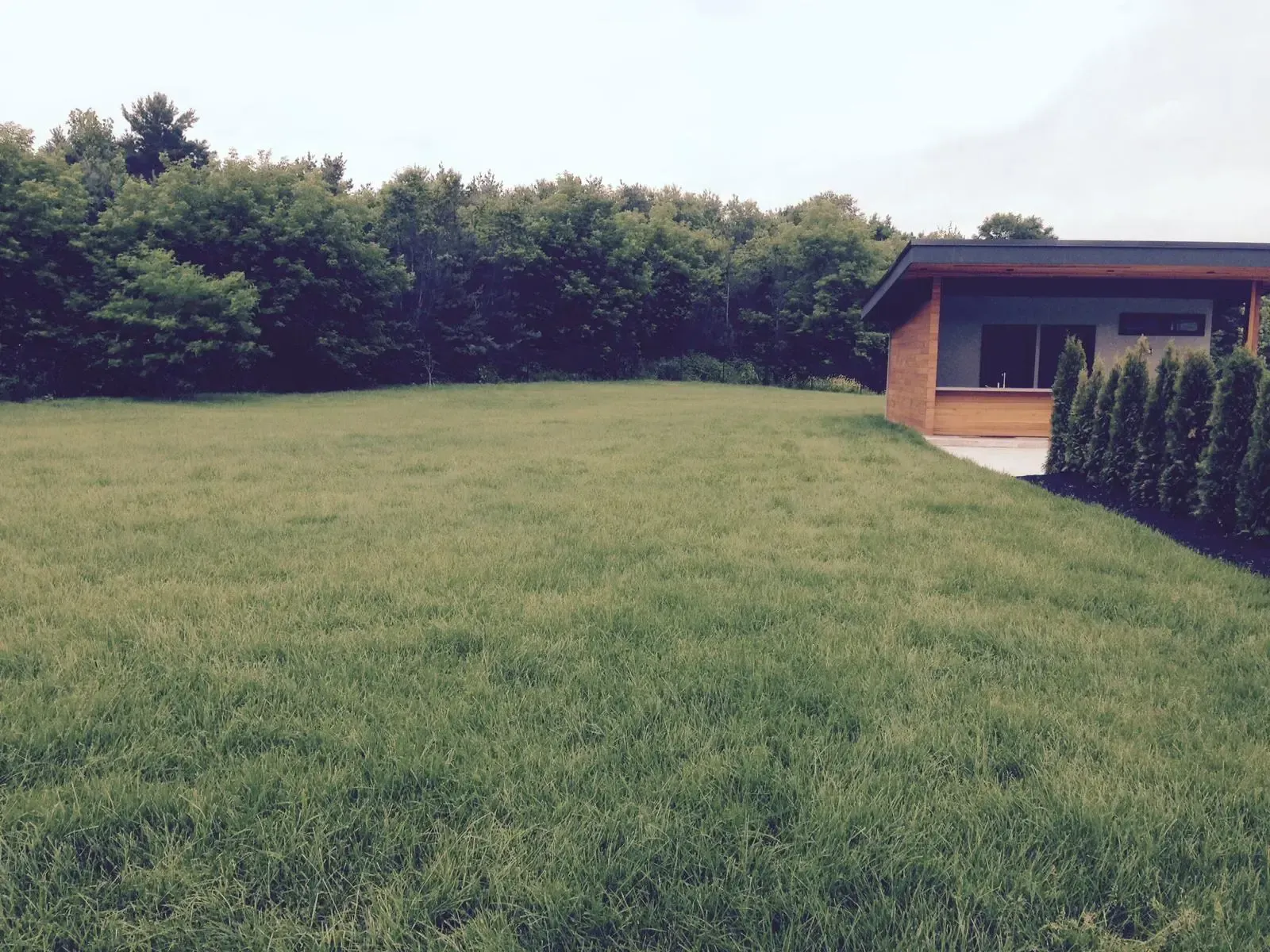 Lush green lawn beside a building with a dark roof and a line of green shrubs. Trees in the background.