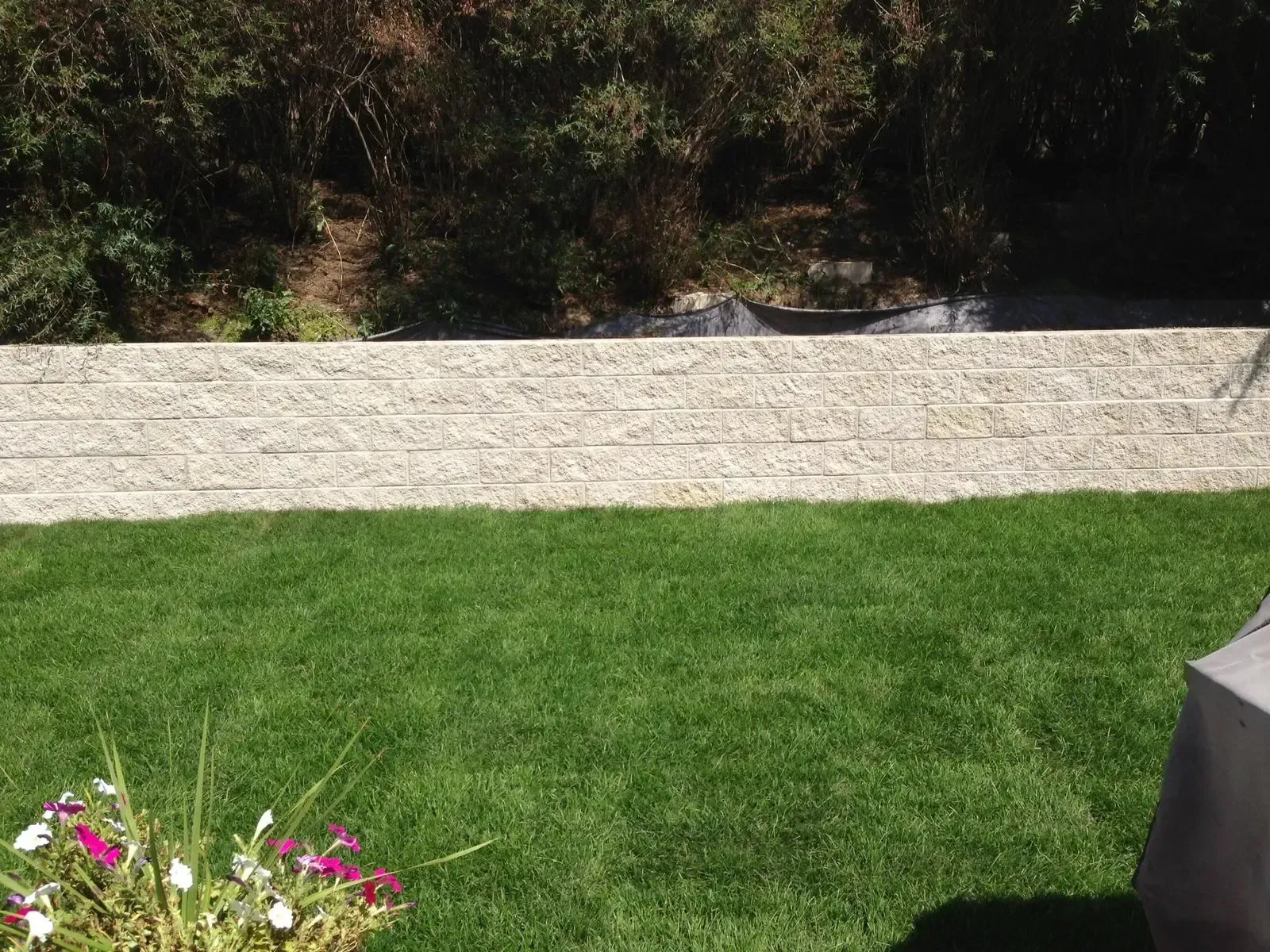 Green lawn, gravel wall, and shrubbery under a sunny sky.