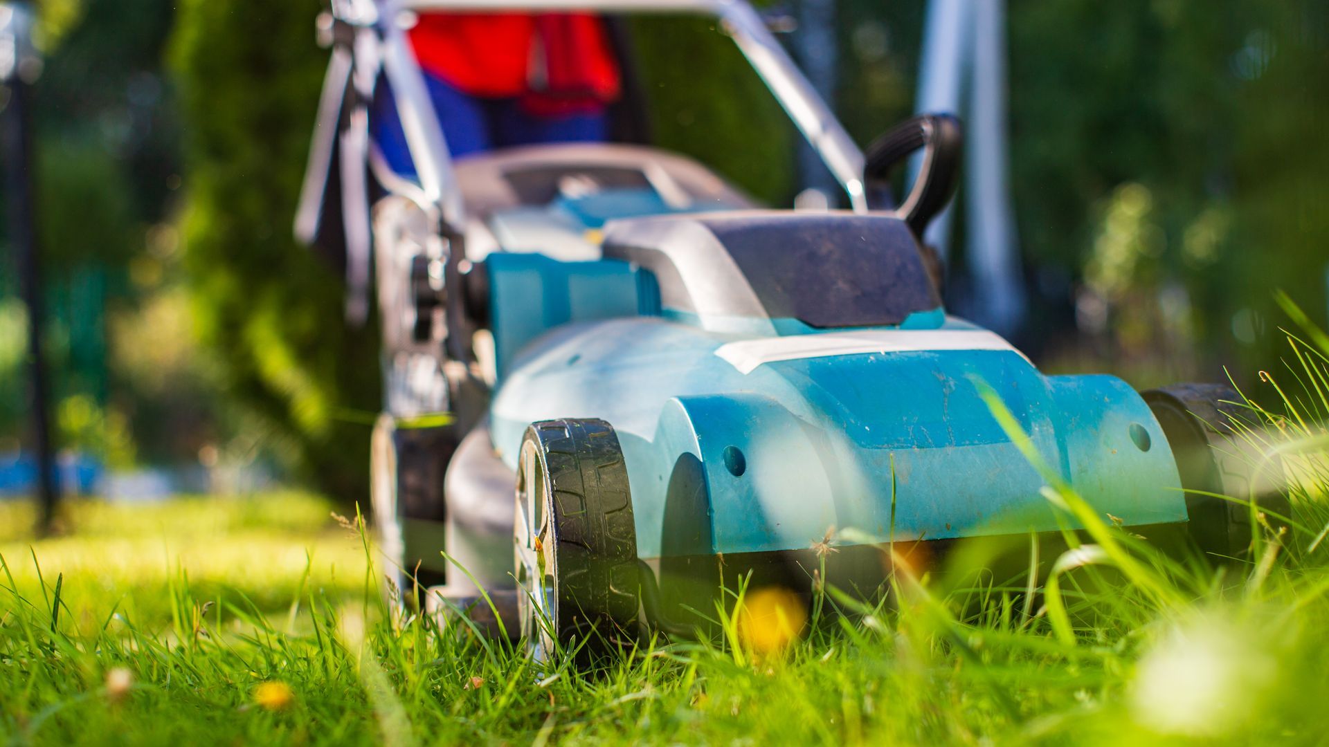 Man fertilizing lawn in front of a modern house, holding a bucket and wearing gloves.