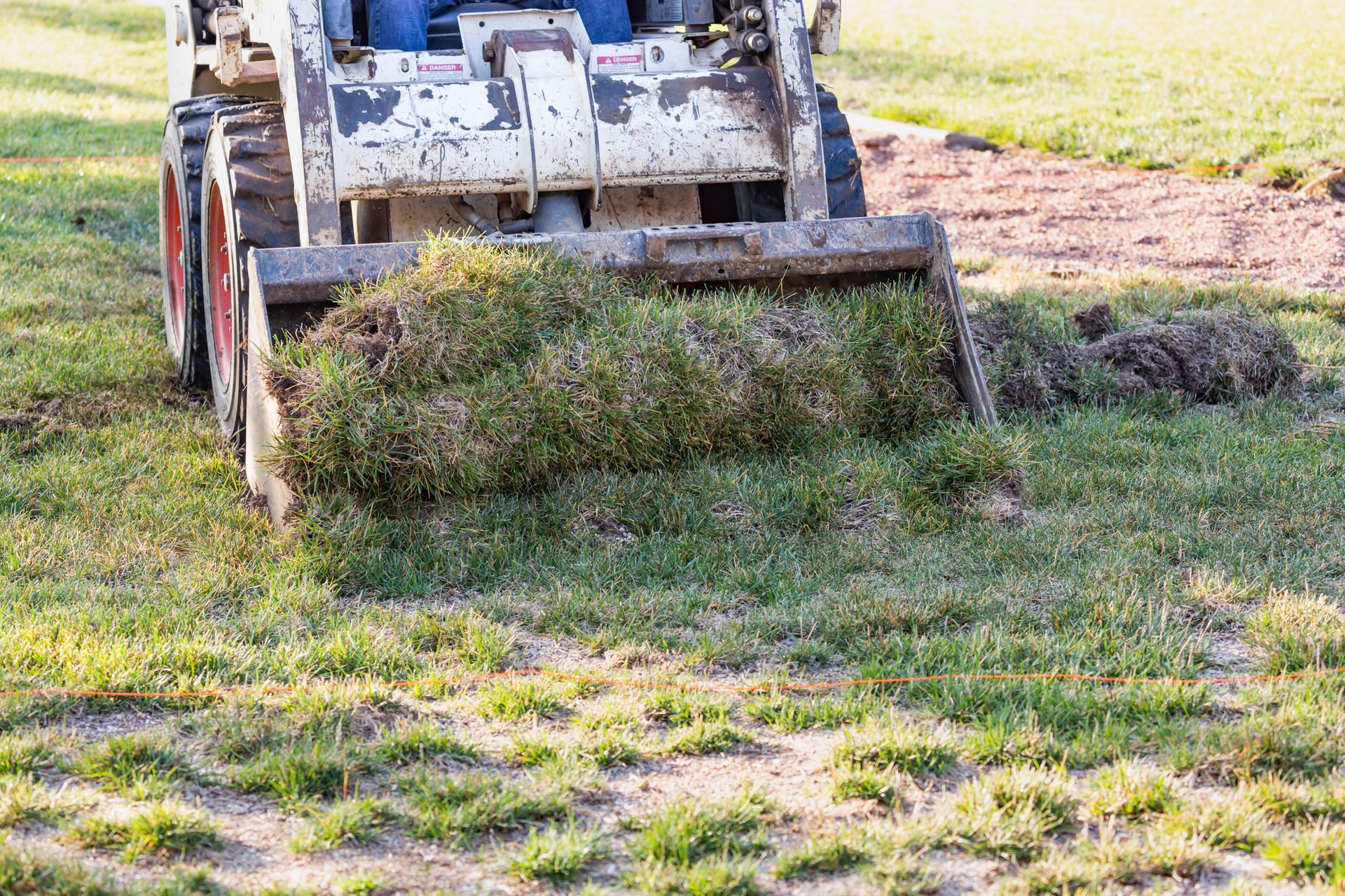 Skid steer loader carrying rolls of sod on a patchy green lawn.