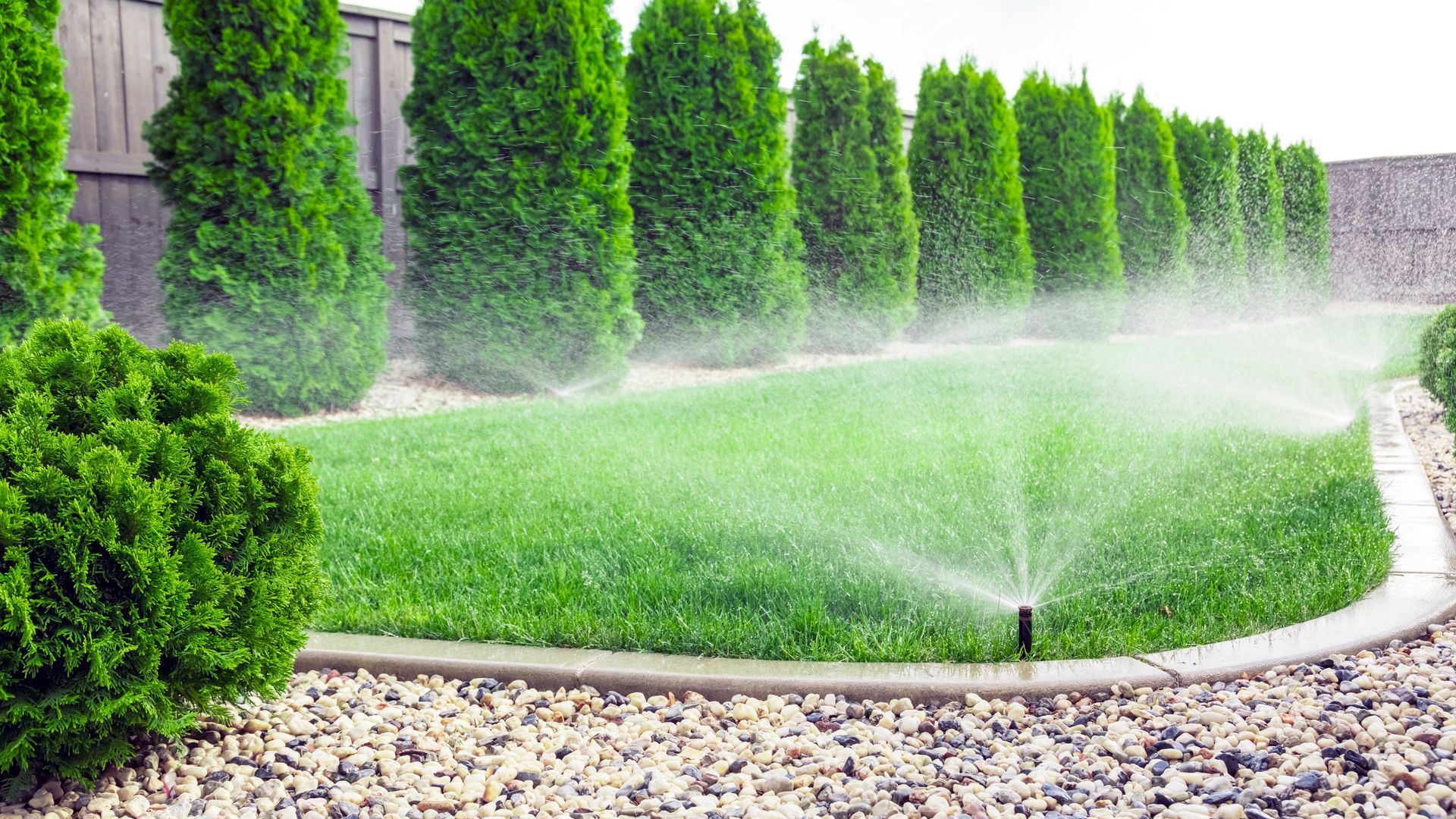 Lawn sprinkler watering a green grassy lawn with evergreen trees in the background. Gravel and a border surround.