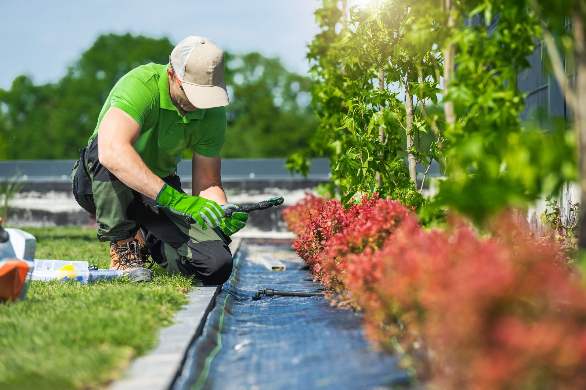 Gardener kneeling, trimming red plants by black landscaping fabric in sunny garden.