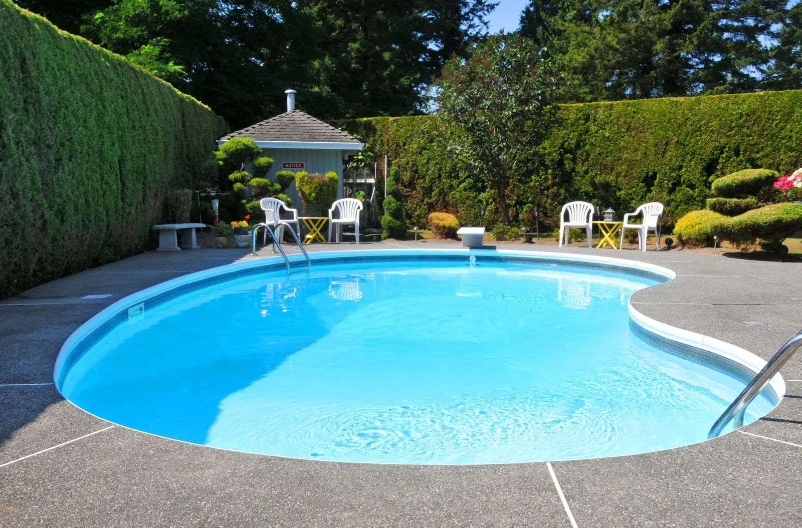 Swimming pool in a backyard surrounded by hedges, chairs, and a small building, on a sunny day.