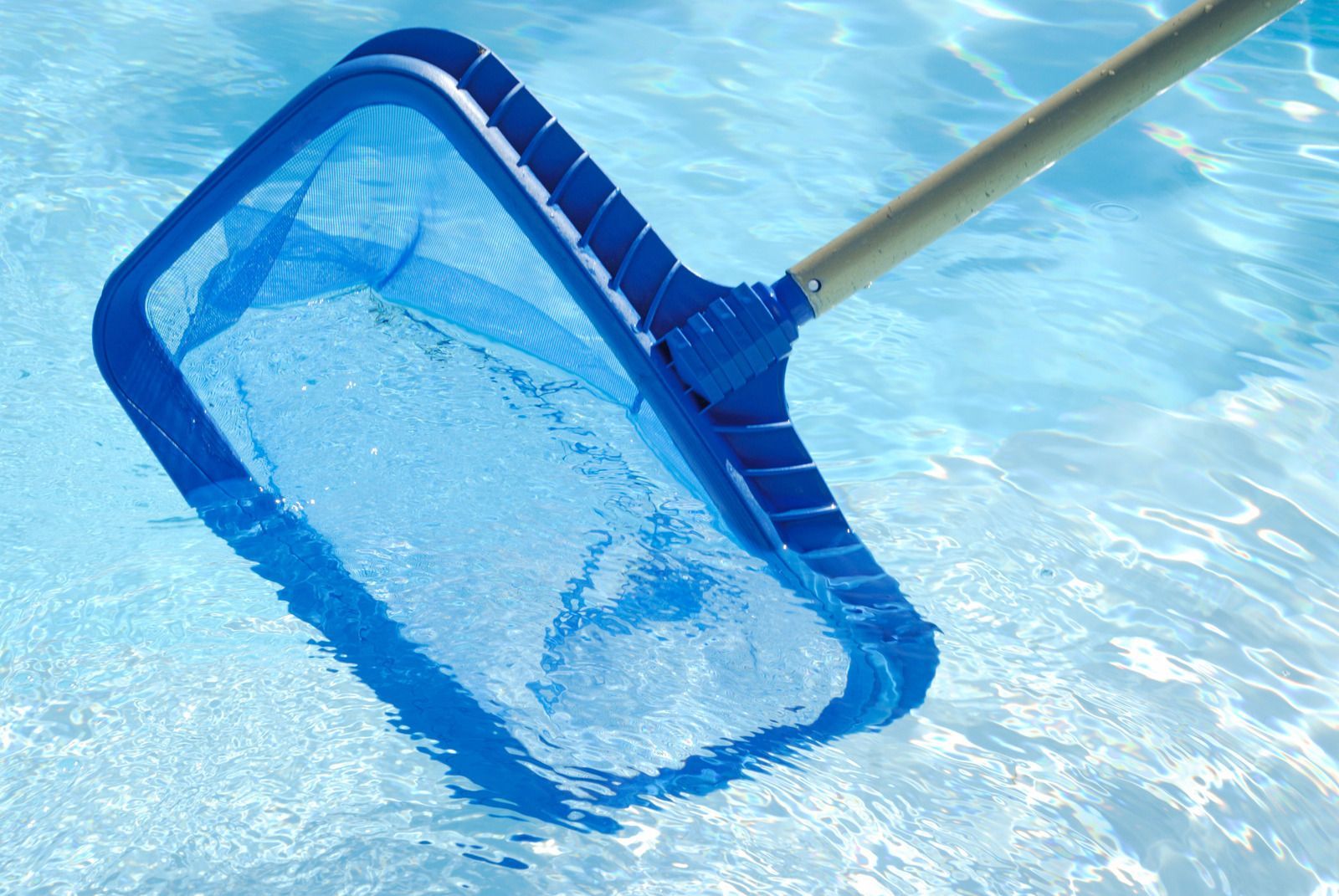 Swimming pool with ladder, colorful inflatable ring and beach ball floating in clear blue water.