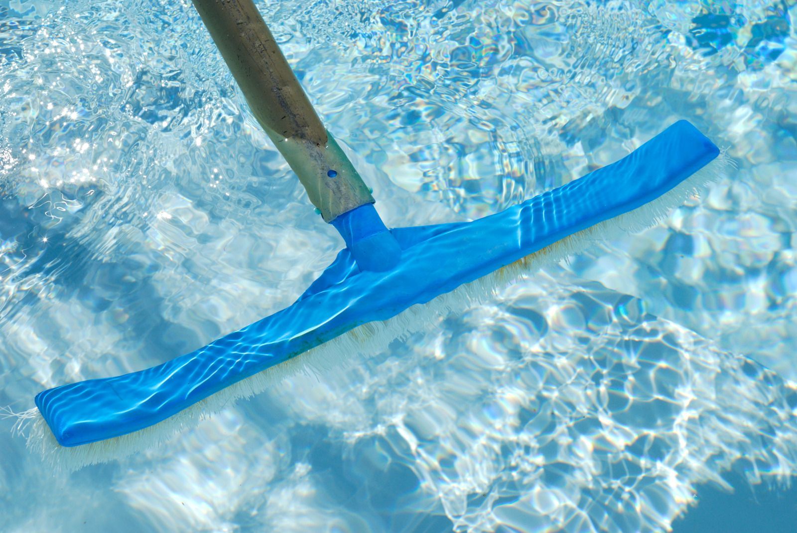 Blue pool net skimming water in a pool.