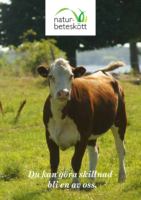 Du kan göra skillnad – bli en av oss