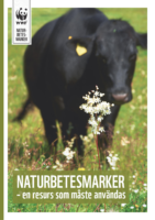 Naturbetesmarker – en resurs som måste användas