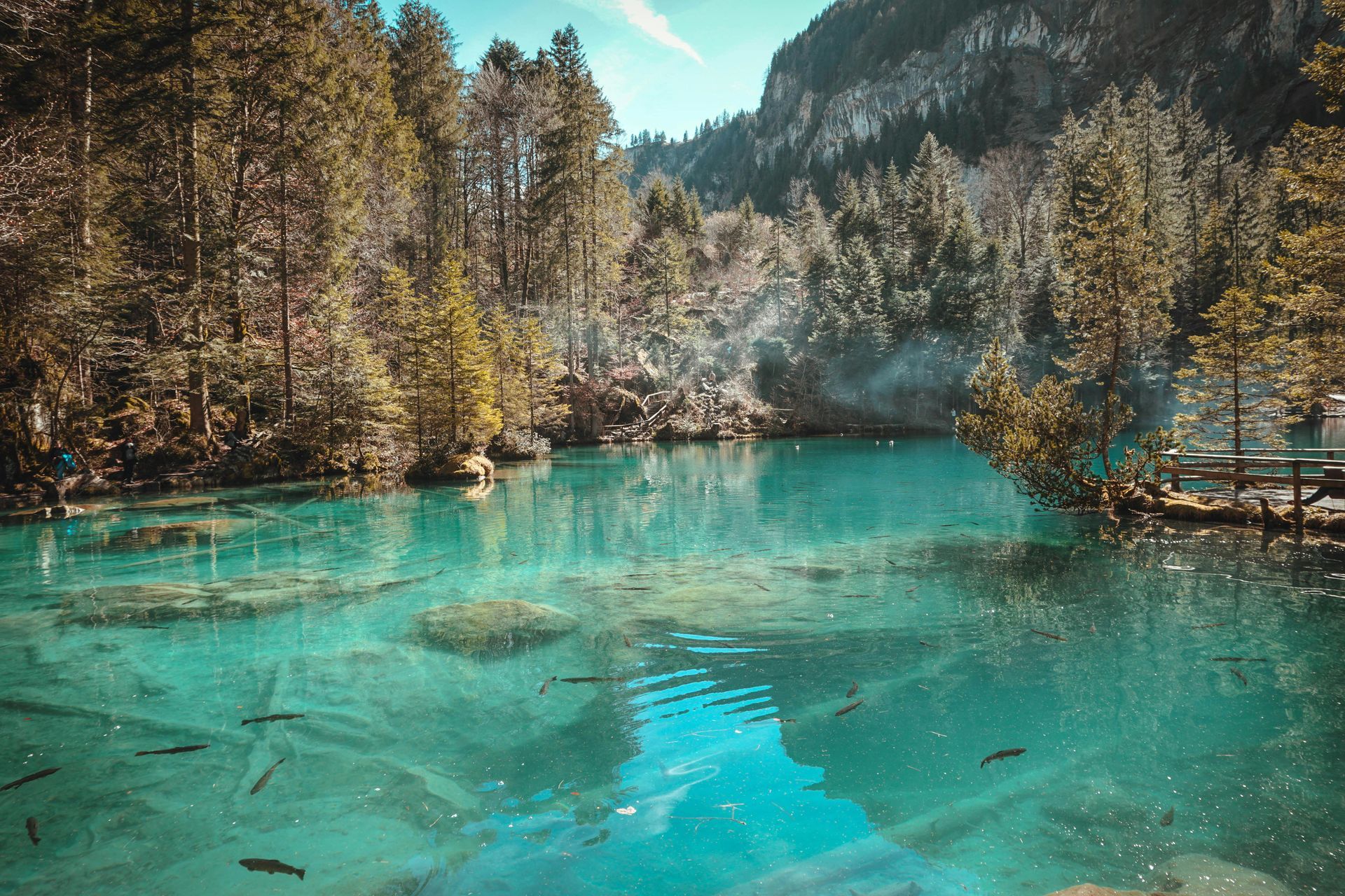 Forêt et lac représentant le lieu de travail d'un concepteur de spa suisse