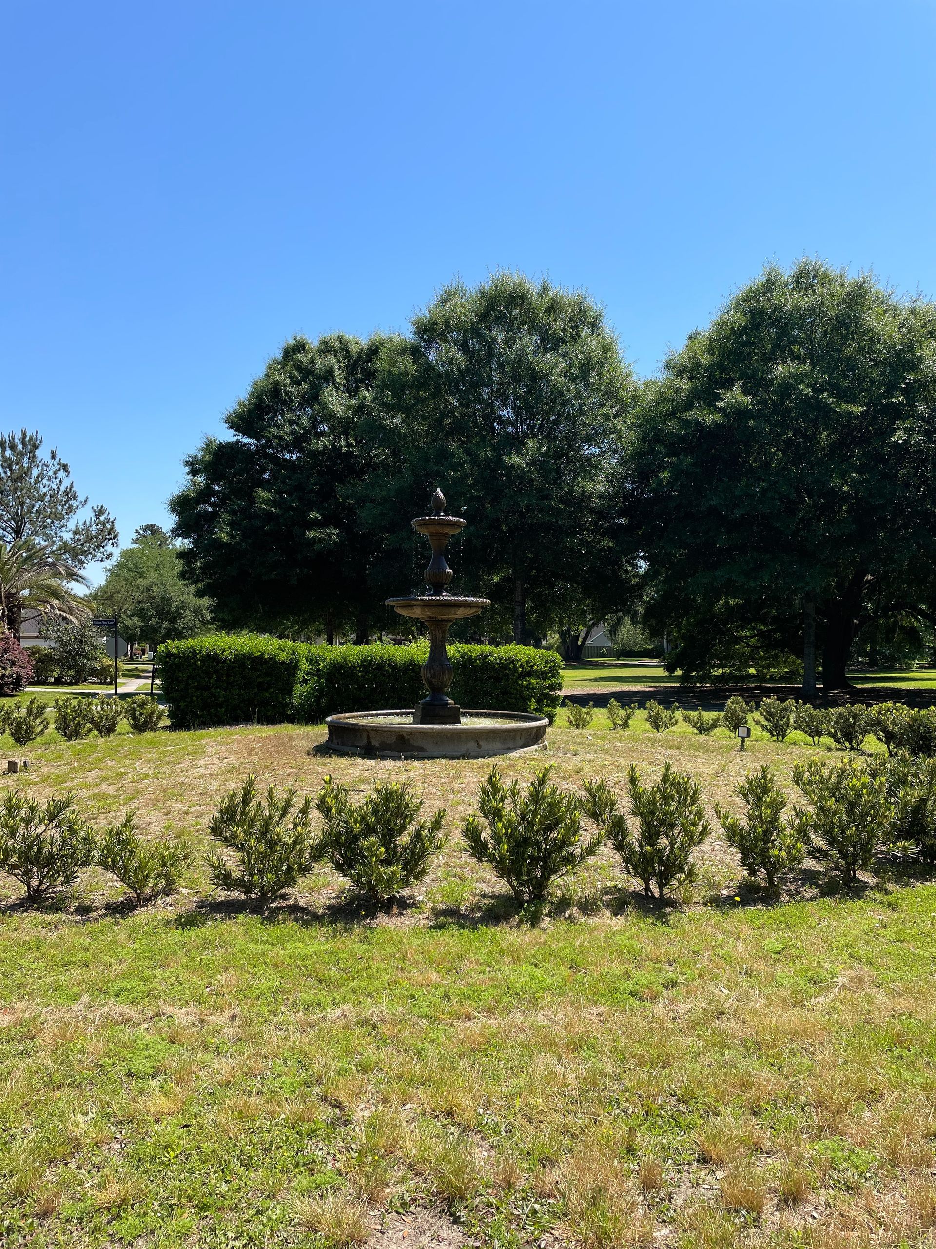 park image