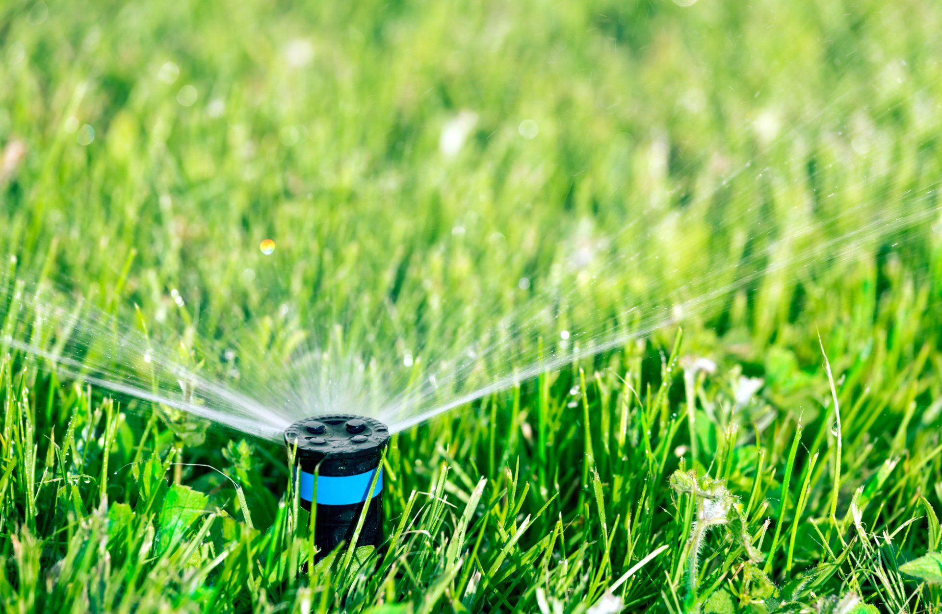 LAWN CARE IN GERMANTOWN, MD