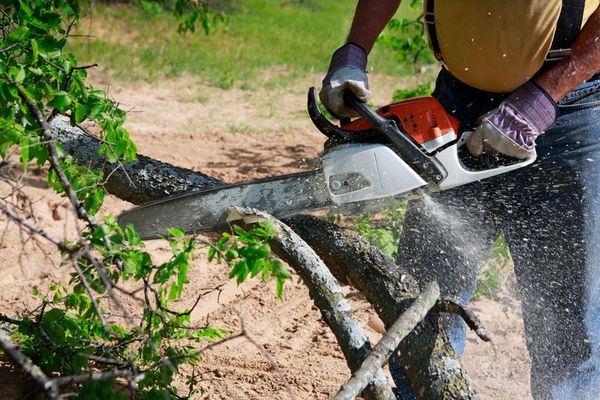 Take Down Tree — Man Wearing Yellow Shirt Cutting Tree Branch in Lampasas, TX