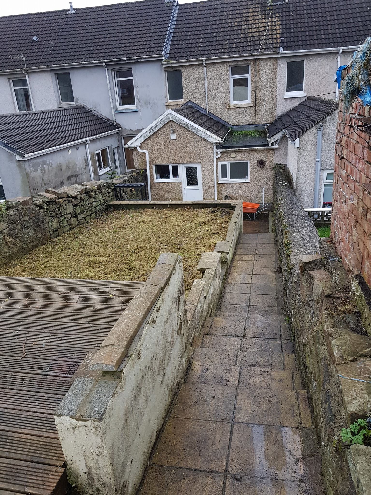 Wind-blown tree care